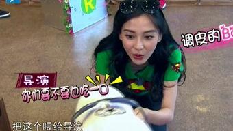 娛樂吃瓜醬笑聲視頻播放,網友直呼“太治愈”